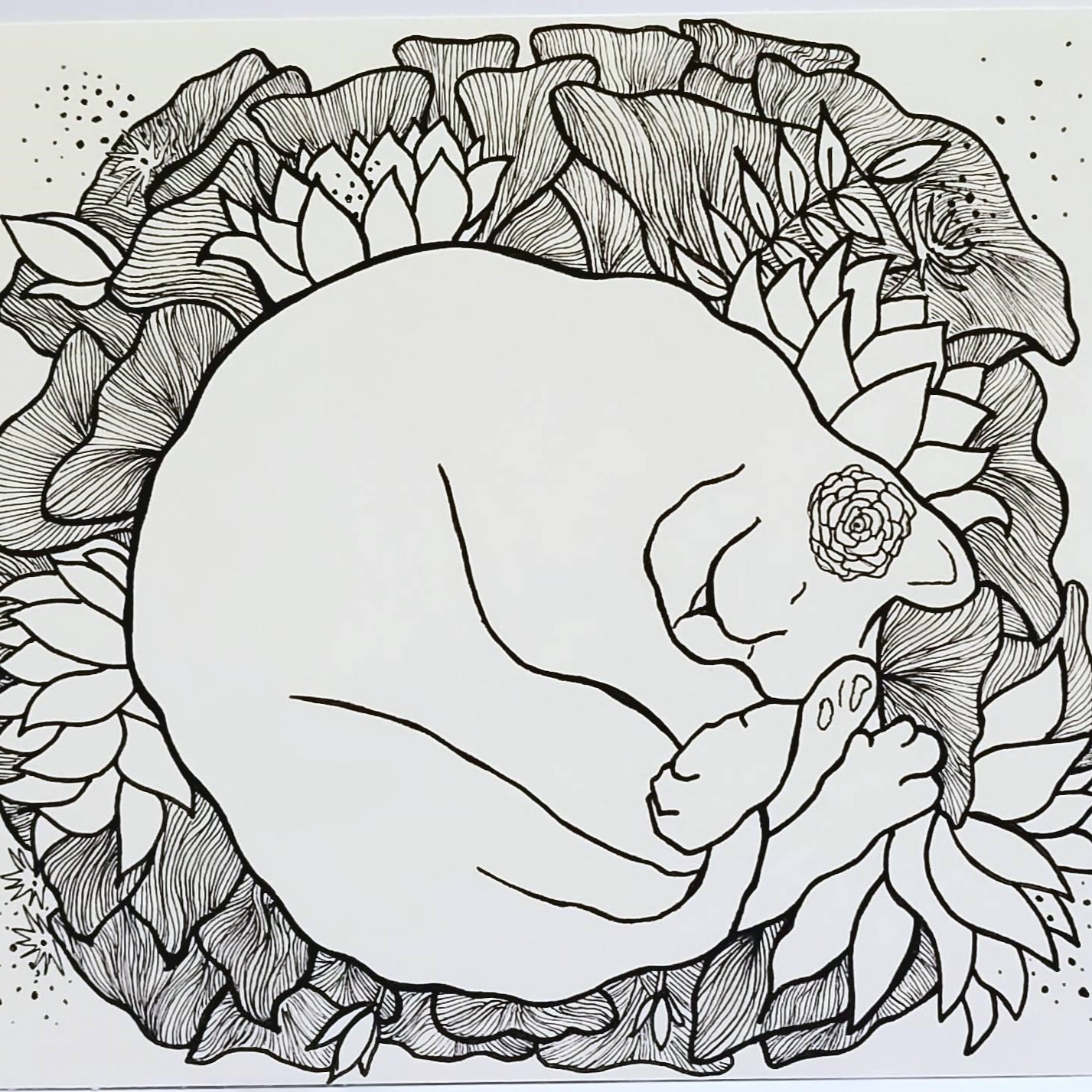 papier 250g- encre de chine noir- illustration